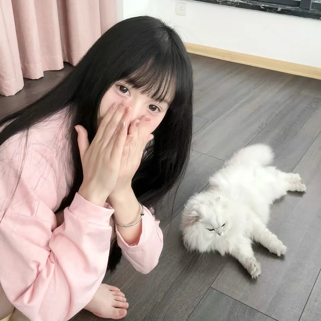 屋顶上的猫